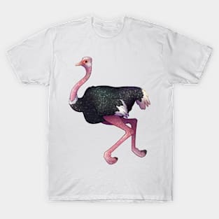 Cozy Ostrich T-Shirt